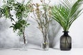 Fresh bouquets with palm leaves, tiny white flowers, green branch in glass vases with shadow on white marble tile wall, wood table