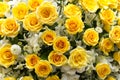 fresh bouquets yellow rose in street flower market, Bangkok, Thailand