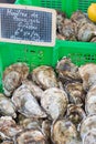 Fresh Bouzigues oysters on sale