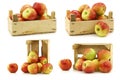 Fresh Braeburn apples in a wooden crate Royalty Free Stock Photo