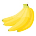 Fresh branch banana icon, isometric style