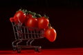 Fresh branch with red baby plum tomatoes in a supermarket trolley in the sun. Concept of buying tomatoes in the store and Royalty Free Stock Photo