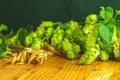 Fresh branches and cones of green hop and ears of barley over old wooden background. Beer concept with selective focus Royalty Free Stock Photo