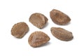 Fresh Brazil nuts Royalty Free Stock Photo