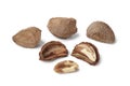Fresh Brazil nuts