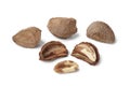 Fresh Brazil nuts Royalty Free Stock Photo