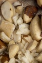 Fresh Brazil nuts peeled from the shell on the table Royalty Free Stock Photo