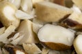 Fresh Brazil nuts peeled from the shell on the table Royalty Free Stock Photo