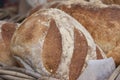 Fresh bread in a bakery