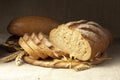 Fresh bread with cereals of wheat Royalty Free Stock Photo