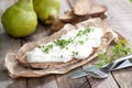 Fresh bread with curd Royalty Free Stock Photo