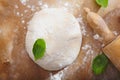 Fresh bread dough