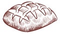 Fresh bread engraving. Bakery menu symbol. Hand drawn pastry Royalty Free Stock Photo