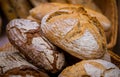 Fresh bread at farmers market Royalty Free Stock Photo