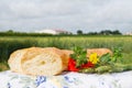 Fresh bread and grain ears outdoor