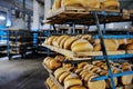 Fresh bread on a shelf in a bakery Royalty Free Stock Photo