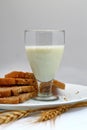 Milk glass, brown bread and barley Royalty Free Stock Photo