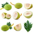 Fresh breadfruit isolated on a white background Royalty Free Stock Photo
