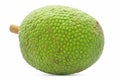 Fresh breadfruit isolated on white background Royalty Free Stock Photo