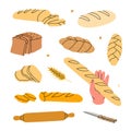 Fresh breads. Breads and pastry banner. Whole grain and wheat bread, pretzel, ciabatta, croissant, french baguette for