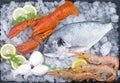 Fresh bream, lobster, shrimps and cuttlefish on ice with lemon slice