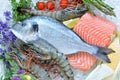 Fresh bream, prawns and salmon