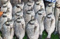 Fresh bream for sale at a market