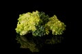 Fresh breen broccoli isolated on black glass Royalty Free Stock Photo