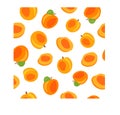 Fresh, bright apricots, leaves, fruits on a white background. Seamless texture. Doodle Royalty Free Stock Photo