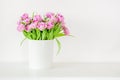 Fresh bright bouquet of pink tulip in white bucket. Beautiful greeting card. Spring holidas concept. Copyspace. Place for your tex