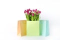 Fresh bright bouquet of pink tulip in white bucket. Beautiful greeting card. Spring holidas concept