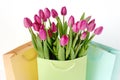 Fresh bright bouquet of pink tulip in white bucket. Beautiful greeting card. Spring holidas concept