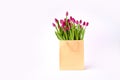 Fresh bright bouquet of pink tulip in white bucket. Beautiful greeting card. Spring holidas concept