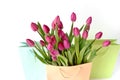 Fresh bright bouquet of pink tulip in white bucket. Beautiful greeting card. Spring holidas concept