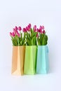 Fresh bright bouquet of pink tulip in white bucket. Beautiful greeting card. Spring holidas concept