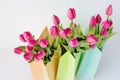 Fresh bright bouquet of pink tulip in white bucket. Beautiful greeting card. Spring holidas concept