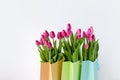 Fresh bright bouquet of pink tulip in white bucket. Beautiful greeting card. Spring holidas concept