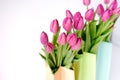 Fresh bright bouquet of pink tulip in white bucket. Beautiful greeting card. Spring holidas concept