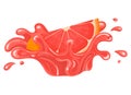 Fresh bright cut slice grapefruit juice splash burst isolated on white background. Summer fruit juice. Cartoon style. Vector