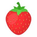 Fresh bright exotic whole strawberry isolated on white background. Summer fruits for healthy lifestyle. Organic fruit. Cartoon Royalty Free Stock Photo
