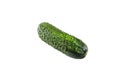 Fresh bright green cucumber on white background, close-up of isolate Royalty Free Stock Photo