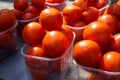 Fresh bright juicy red tomatoes selling in boxes with sunlight reflection on sunshine day in local city market Royalty Free Stock Photo