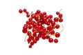 Fresh bright red currant sprig Royalty Free Stock Photo