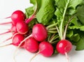 Fresh, bright red radish with green leaves, isolated on a white background. Royalty Free Stock Photo