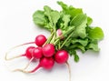 Fresh, bright red radish with green leaves, isolated on a white background. Royalty Free Stock Photo