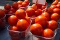 Fresh bright red tomatoes selling in boxes with sunlight reflection on sunshine day in local city market Royalty Free Stock Photo