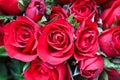 Fresh bright  rose flower red petal blooming with water drop and green leaf top view for natural background Royalty Free Stock Photo