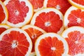 Fresh bright round grapefruit slice. Royalty Free Stock Photo