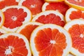 Fresh bright round grapefruit slice. Royalty Free Stock Photo