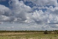 Fresh bright spring landscape in outdoors with fluffy clouds in blue heaven with sunlight above beige dry grassland in steppe. Joy